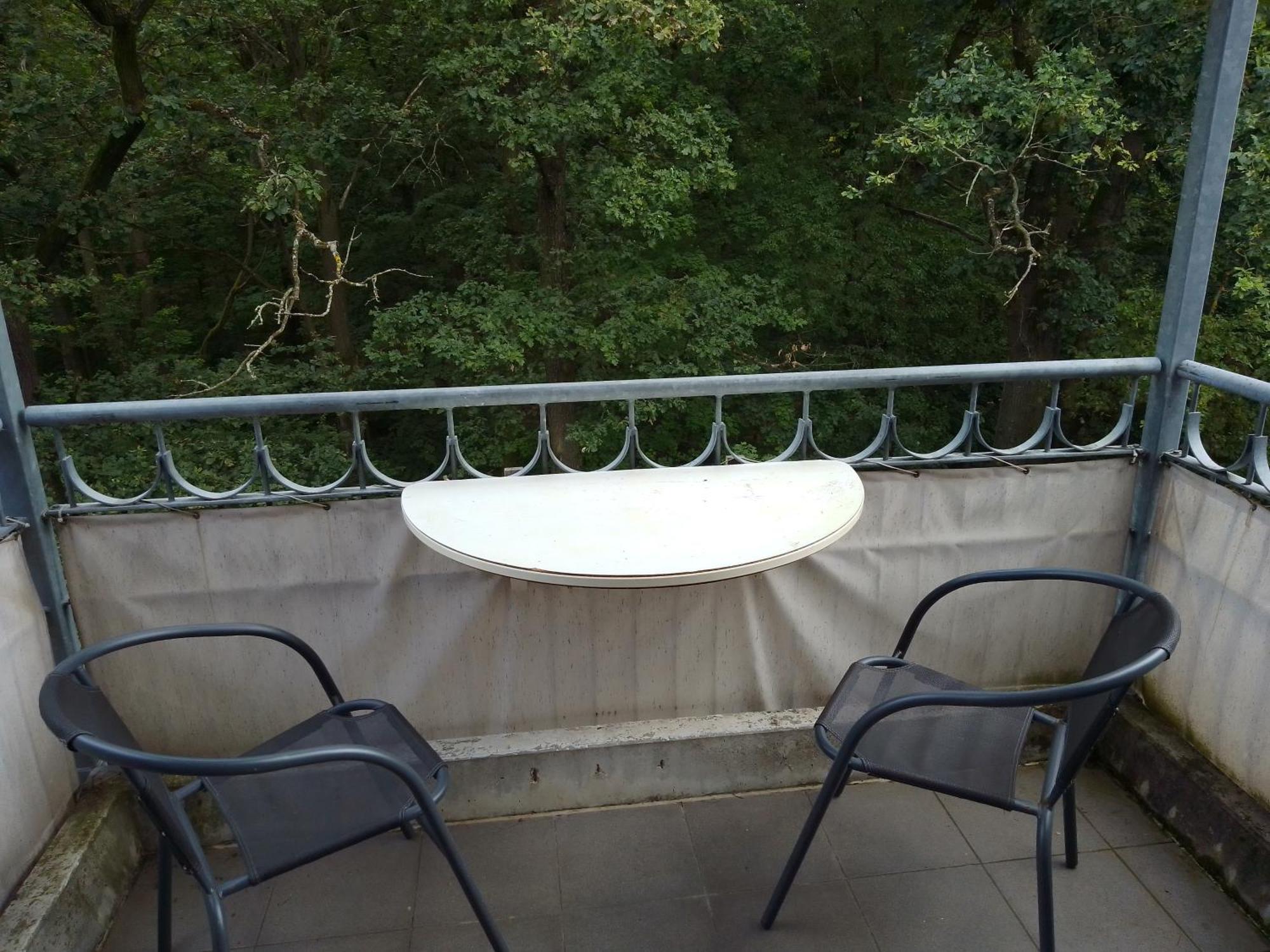 Apartment Preisselpoehl Plauen Zewnętrze zdjęcie